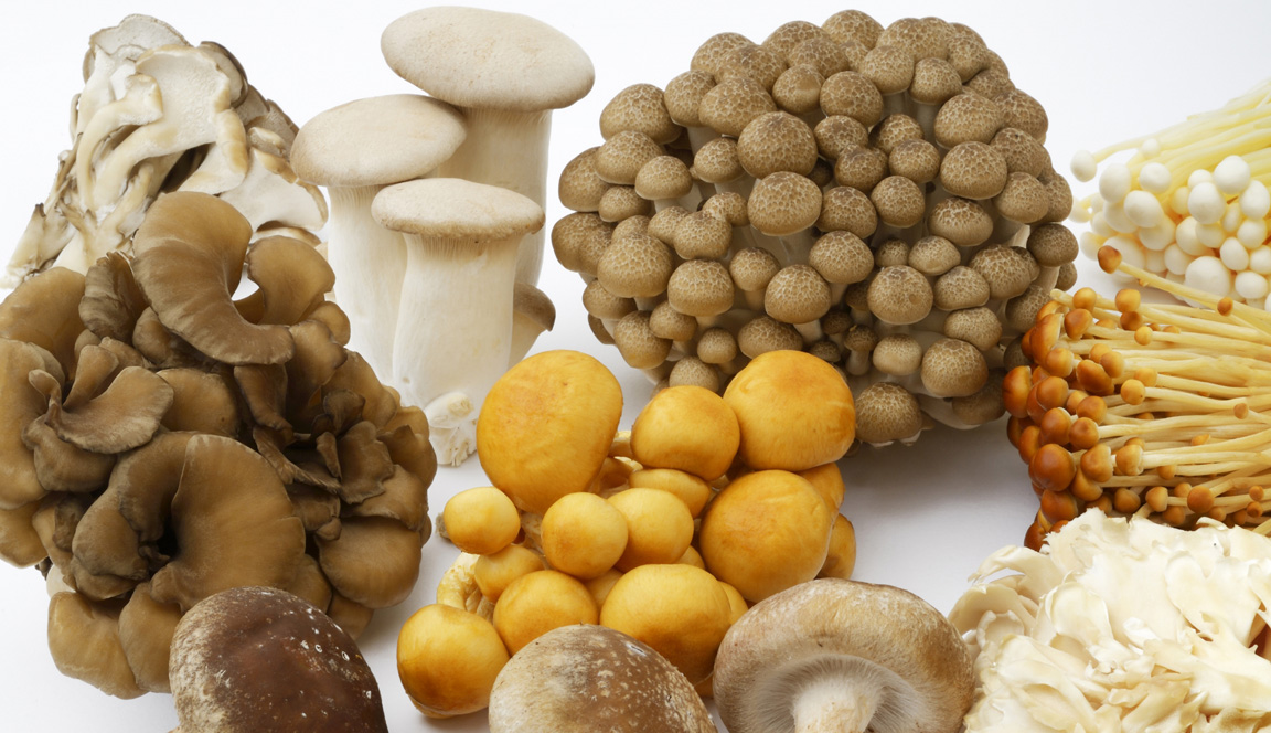 健康の底力(免疫力)を高める食べ物とは!?