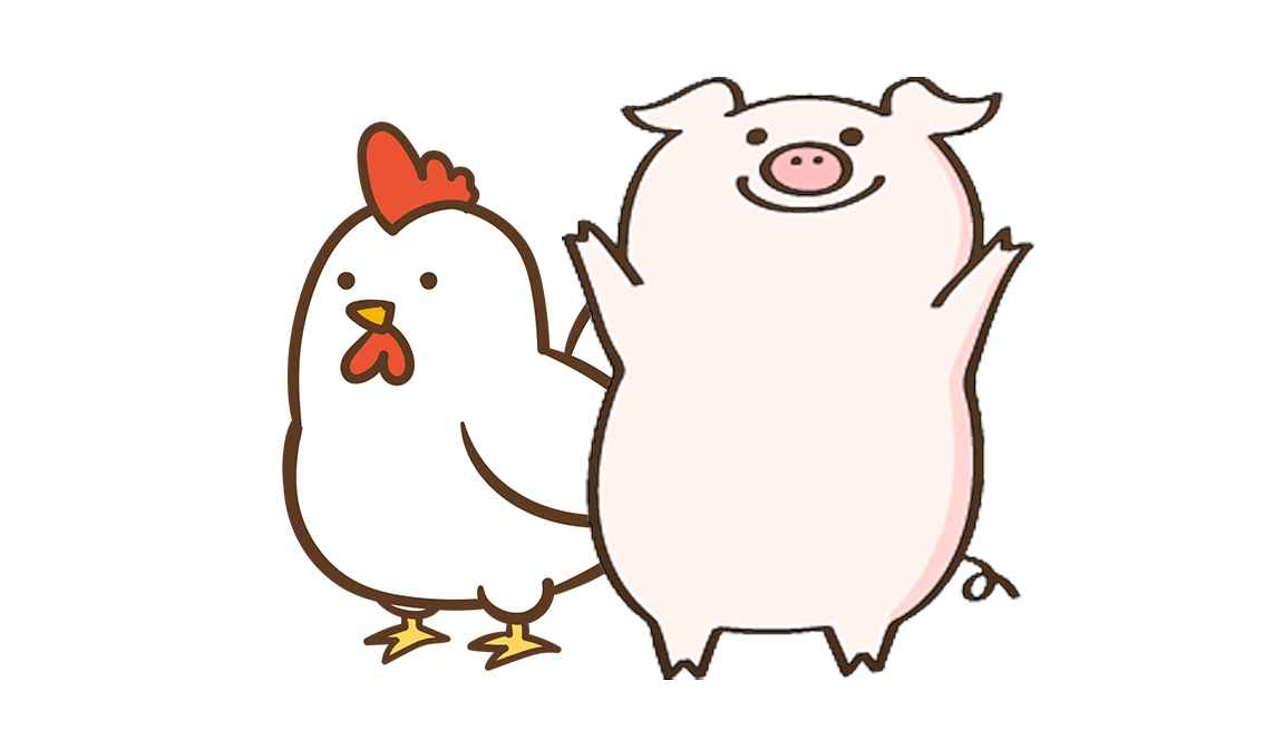 乳酸菌は魚や動物にも効果的!?
